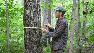 MSU Forestry Virtual Open House - Jim Rivard & Tree Measurements