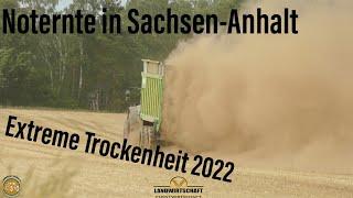 Extreme Trockenheit erfordert Schnelles Handeln! Ganzpflanzensilage - Noternte in Sachsen-Anhalt