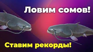 Наконец-то поймал ГИГАНТА!!! | Ultimate Fishig Simulator | Кетлин-Лейкс #2