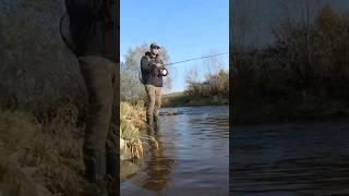 ЛОВЛЯ ФОРЕЛІ НА СПІНІНГ #рибалка #troutfishing #українськарибалка