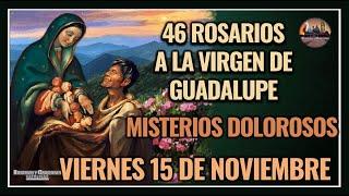 46 ROSARIOS A LA VIRGEN DE GUADALUPE: MISTERIOS DOLOROSOS - GUADALUPANO / VIERNES 15 NOVIEMBRE 2024.