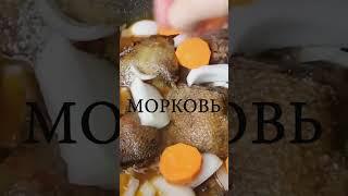 Как приготовить дикую утку, простой вкусный рецепт для приготовления дома. Утка с овощами.