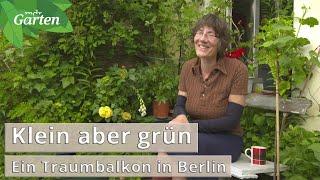 Klein aber grün – ein Traumbalkon in Berlin | MDR