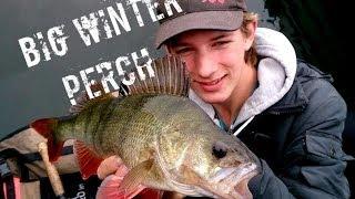 Big Winter Perch Is Coming! Bellyboating for big perch.