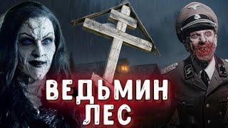  ВЕДЬМИН ЛЕС  страшилка на ночь  истории о ведьмах  Salem