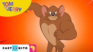 Tom and Jerry: Show their Muscles | Cartoonito Africa