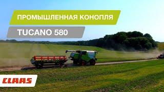 Техническая конопля. CLAAS TUCANO 580