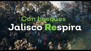 Con bosques, Jalisco Respira | Gobierno de Jalisco