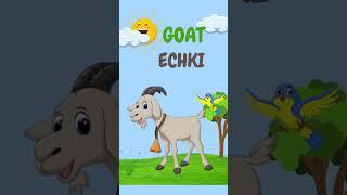 Animals in English and Uzbek 1 #fledu #shortsvideo #shortsyoutube #forkids