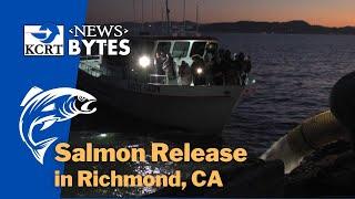 KCRT's NewsBytes: Salmon Release in Richmond, CA