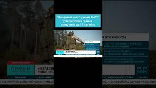 "Железный волк": учения НАТО у белорусских границ продлятся до 17 октября. #нато #учения #литва