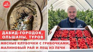 Клубочки с грибочками, малиновый рай и лещ из печи. Давид-Городок, Ольшаны, Туров. Еда- хоть куда!