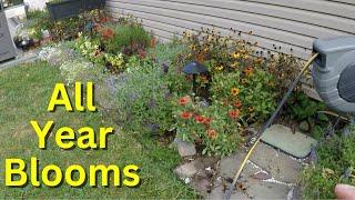 Perennial Garden Tour - You can Have Blooms All Season