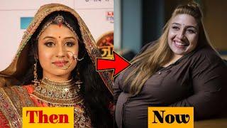 Jodha Akbar Serial Star Cast (2013 - 2023 ) Real Name & Age | Then And Now 2023