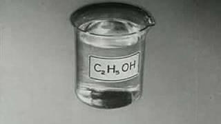 Alcohol and the Human Body (1949) Part Two