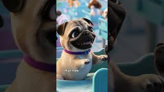 Max the Pug's Hospital Adventure  #pug #cutedog #cutepets