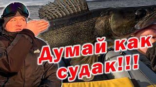 "СУДАК ЗАСТОЛЬНЫЙ" !!!ИДЕАЛЬНЫЕ УСЛОВИЯ ДЛЯ ЛОВЛИ СУДАКА!!!