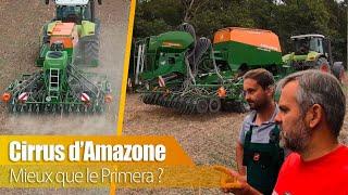 Cirrus d'Amazone : ce semoir va t'il me convenir ?