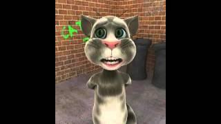 Talking Tom-Skrillex Bangarang