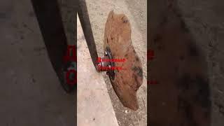 новый проект... дисковые окучник..