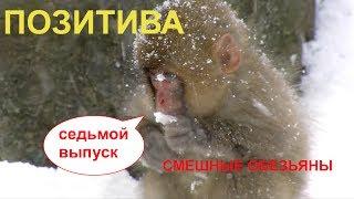 Позитива (седьмой выпуск)