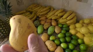 Stocking Up On Fruit Helps You Stay Raw  Free Coaching with Tom Avery Healthy eating