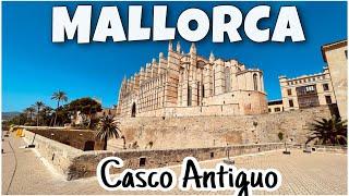 CASCO ANTIGUO DE MALLORCA QUE VER ? ️ Visitamos los baños árabes y el Olivo con más de 600 años