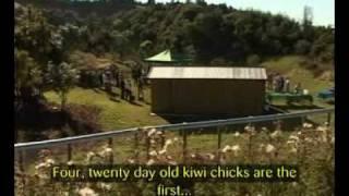 ECOED on Maori TV
