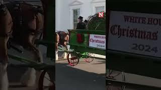 Christmas Tree Arrives At White House