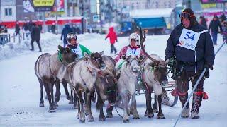 Гонки на оленьих упряжках в Воркуте | Изьватас олэм