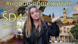 Общежитие в Словакии ŠD4. Почему переехала, сколько стоит, какое общежитие лучше. Учеба в Словакии