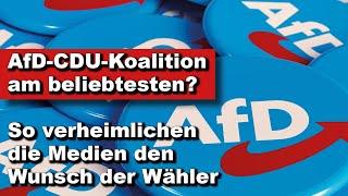 AfD-CDU-Koalition am beliebtesten? So verheimlichen die Medien den Wunsch der Wähler (Wochenstart)