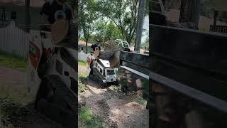 From trimming to removal we got you covered.  #SiouxCityTreeCo #TreeCare #TreeService #treeremoval