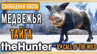 theHunter Call of the Wild #13  - Медвежья Тайга (часть 2) - Свободная Охота