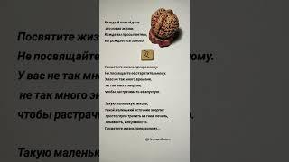 #мудрость #цитаты #советы