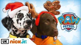 Paw Patrol | Real Pups Save Christmas | Nick Jr. UK