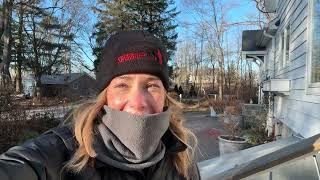 A quick (and cold) garden stroll  Overwintering shrubs in containers