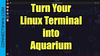 How to install Asciiquarium on Ubuntu | Turn Your Linux Terminal into Aquarium