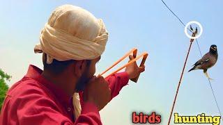 Birds hunting with handmade Slingshot!
