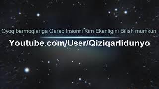 Оёк Бармокларига Караб Инсонни Харкатерини Билиш Мумкин