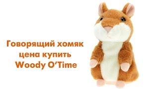 Говорящий хомяк цена купить Woody O’Time