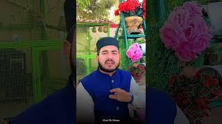 Sab Nazaare Huzoor Ap K Hain || Zain Ali Sultani || Latest 2025 Kalam
