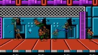 Battle Toads & Double Dragon HACK L7 A Bunch of Enemies v2 [NES]