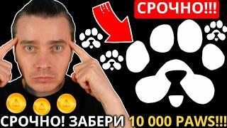 ️ PAWS 🟢 СРОЧНО! ЗАБЕРИ 1 000 PAWS  ОСТОРОЖНО!  ТЫ 100% ВСЕ ПОТЕРЯЕШЬ ЕСЛИ ПРОДОЛЖИШЬ ДЕЛАТЬ ЭТО!