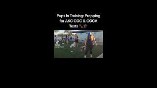 Legend Acres Intermediate and Advanced Group Classes
