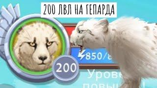 КАЧАЕМ ГЕПАРДА ДО 200 ЛВЛ!