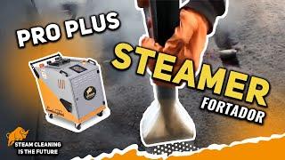 New Pro Plus Steamer Upholstary Tool.  Steam cleaning industry is the future.