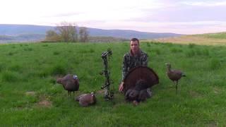 PA Spring Gobbler with the BOW!