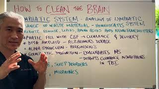 HOW to CLEAN the BRAIN----Glymphatic System