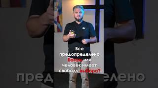 Всё предопределено, или у нас есть свобода выбора? Павел Рудаков